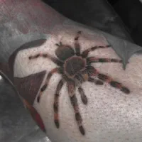 تتو بدن بلک فرایدی|خدمات آرایشگری و زیبایی|مشهد, رضاشهر|دیوار