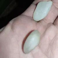 سنگ عقیق چند مدل سنگ اصلی بشرط اصل میدمش