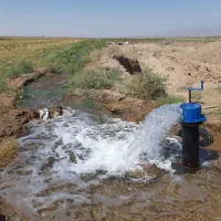 معاوضه مزرعه هفت هکتاری با واحد مسکونی