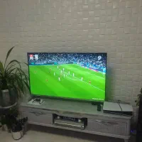 55اینج ساخت کره هوشمندسه بعدی باچهارتاعینک صفر|تلویزیون و پروژکتور|پره‌سر, |دیوار