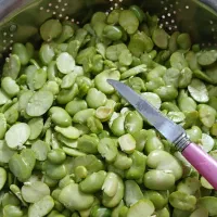 سبزیجات آماده