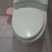 توالت فرنگی سالم وتمیزبادرنو