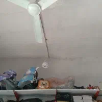 مینی  گل بابونه شال لباس زیر نو کش موجوراب لبوبو|لباس|شوشتر, |دیوار