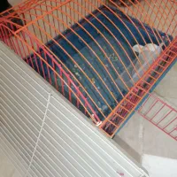 قفس وطلق موتور وباکس کنتراب  قیمت منصفانه|لوازم جانبی حیوانات|سبزوار, گلشن|دیوار