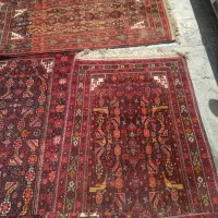 تعدادی فرش دستباف|فرش|بوشهر, |دیوار