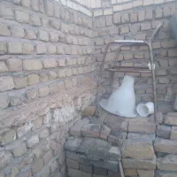 دستشویی فرنگی