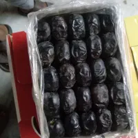 خرمای مضافتی سراوان موجود هست