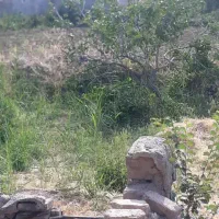 باغچه ۳۰۰متری درقزوین|فروش زمین و ملک کلنگی|کرج, برغان|دیوار