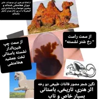 کلکسیون نگین شجرمصور معاوضه با انگشتر اوپال زبرجد|کلکسیون اشیاء عتیقه|زنجان, |دیوار