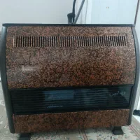 بخاری ادنیس