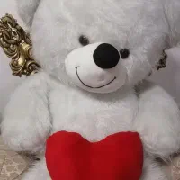 خرس متری نشسته