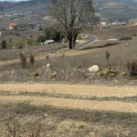 255-متر-زمین-ییلاقی-اسپیلی-دیلمان