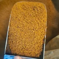قهوه کلاسیک هند