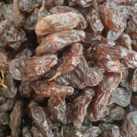 مویز درجه یک