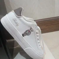 کفش کتانی