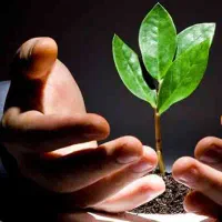 مرکز ترک اعتیاد