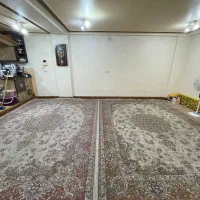 ۲عدد فرش ۱۲متری