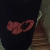 ۲تا ساب باکس پاییونر مکزیکی به شرط تست