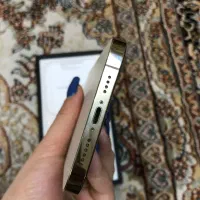 Iphone 12promax 256 Zaa %100|موبایل|ری, حمزه‌آباد|دیوار
