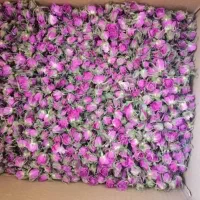 سرمایه گذاری و استخدام جهت تحویل هل .فرش .گل|استخدام مالی، حسابداری، حقوقی|تهران, آذربایجان|دیوار