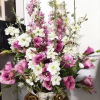 گل برند گلد کیش