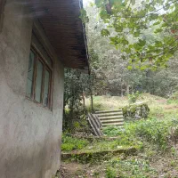 عرصه-و-اعیان-شیخانبر-پای-کوه-ویوشهر