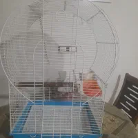 قفس پرنده