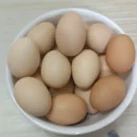 تخم مرغ نطفه دار لاری خانگی