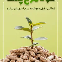 پروکود . کود پلت مرغی|عمده‌فروشی|اشکذر, |دیوار