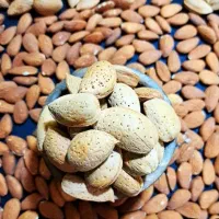فروش بادام دیم شیرین|خوردنی و آشامیدنی|تهران, ورزشگاه آزادی|دیوار