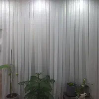 پرده شاین نونو|پرده، رانر، رومیزی|ورامین, ورامین|دیوار