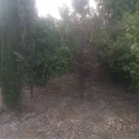 زمین-پشت-بند-دره-کوچه-اول