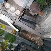 فروش فروری لوازم کارواش کامل تکی ویکجا زیرقیمت|ماشینآلات صنعتی|کرج, کرج نو|دیوار