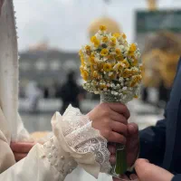 چادرعروس چادرجواهردوزی مرواریددوزی|لباس|مشهد, فلسطین|دیوار