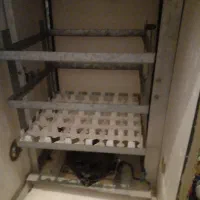 دستگاه جوجه کشی|لوازم جانبی حیوانات|فردوس (خراسان), |دیوار