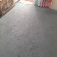2عدد موکت پالاز