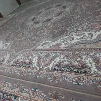 قالی ۱۲متری