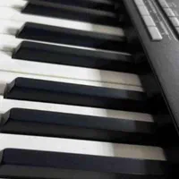 ارگ pa3x  پنج اکتاو|پیانو، کیبورد، آکاردئون|شهرکرد, |دیوار