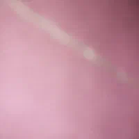 گم شدن مدارک