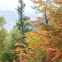 خریدار خونه به قیمت یک میلیارد وسیصد گلپایگان