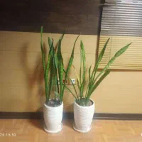 آگهی استخدام