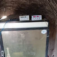 دستگاه اتوماتیک جوجه کشی