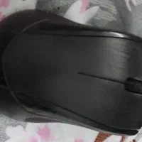 کیبورد و ماوس تسکو tk 8003|قطعات و لوازم جانبی رایانه|رشت, دروازه لاکان|دیوار