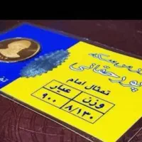 فروش  یک عدد سکه امامی 86