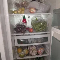 یخچال اسنوا کارکرده