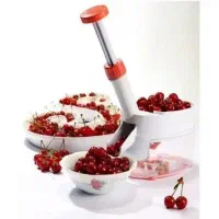 هسته گیر تکتا