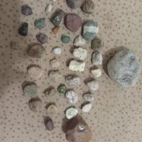 دیوار|حراج|رشت, رودباری|دیوار
