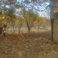 باغ 1100 متری شهریار ابراهیم آباد سند تک برگ|فروش خانه و ویلا|شهریار, ابراهیم‌آباد|دیوار