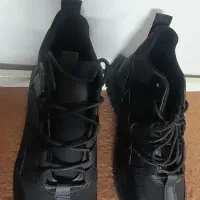 کفش کاملا نو