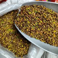 مغز پسته کوهی